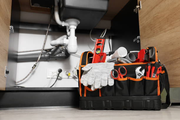 Best Clogged Drain Plumber  in Carlisle Rockledge, AL